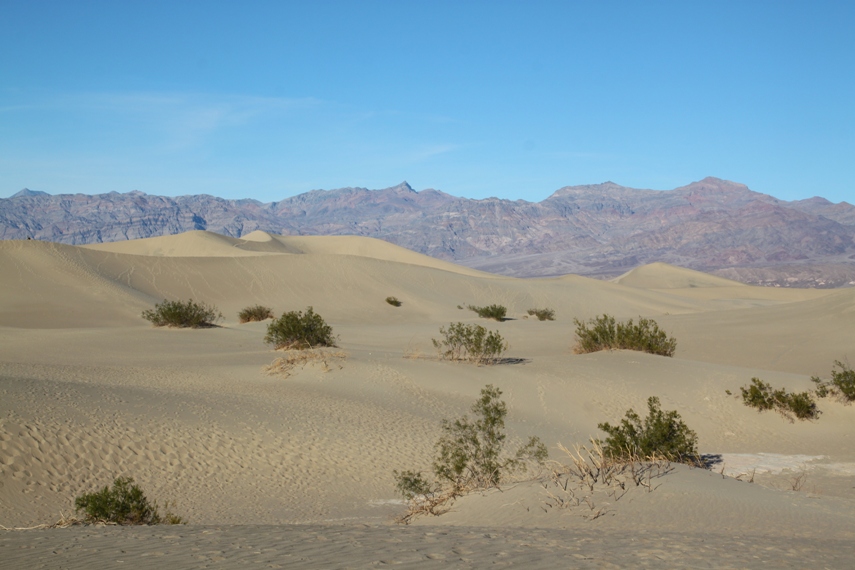 Mesquite Dunes